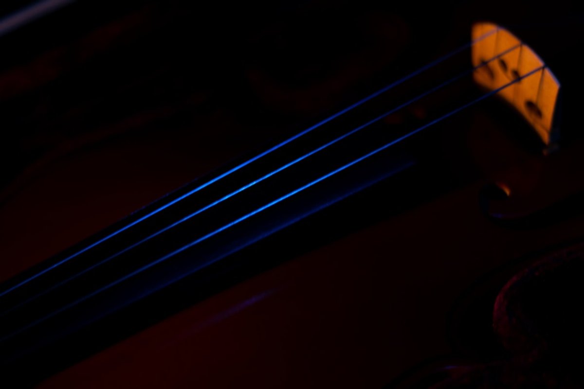 Fine musical instruments representing quality wholesale supply